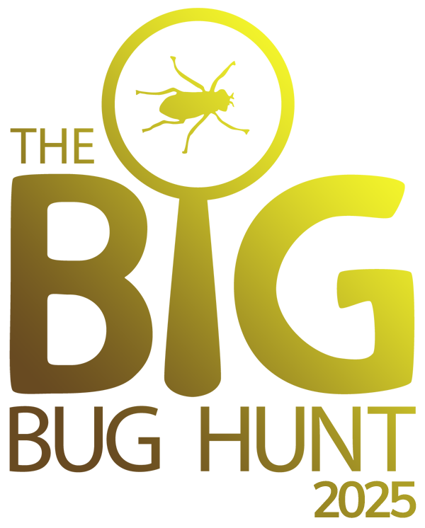 The Big Bug Hunt