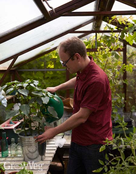 Ben in the greenhouse