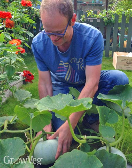 Ben with Crown Prince squashes