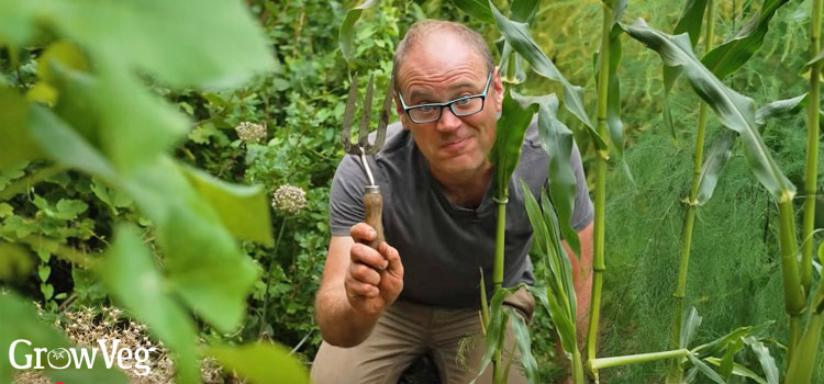 Ben-with-a-hand-fork