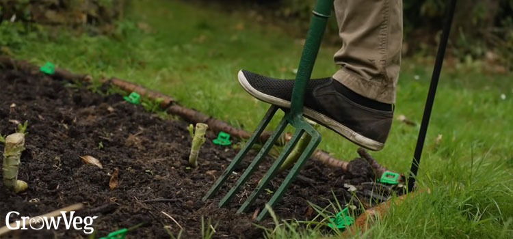 Digging-fork