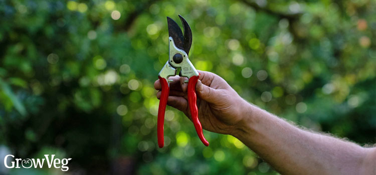 Pruners