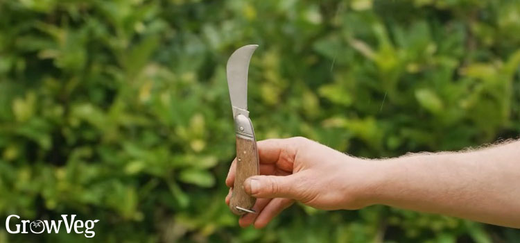 Pruning-knife