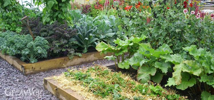 A well-planned vegetable garden