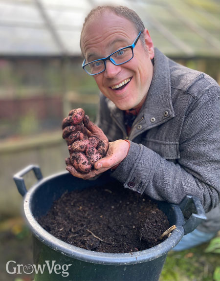 Container potatoes