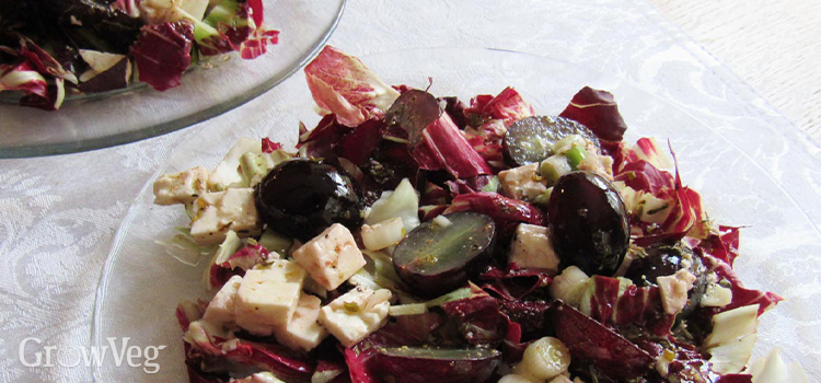 Radicchio salad with grapes and feta