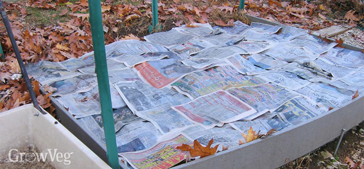 “Newspapers