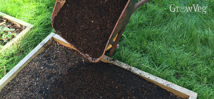 Adding homemade compost to a raised bed