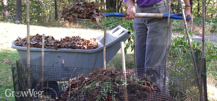 Composting fallen leaves in a leafmould bin