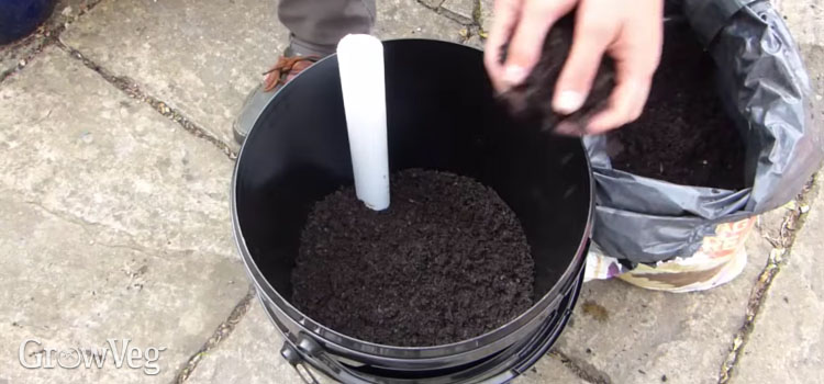 Adding soil to a self-watering container