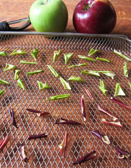 Dried apple peels