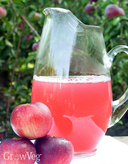 Apple nectar
