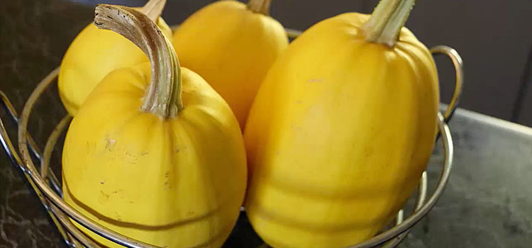 Perfect winter squashes