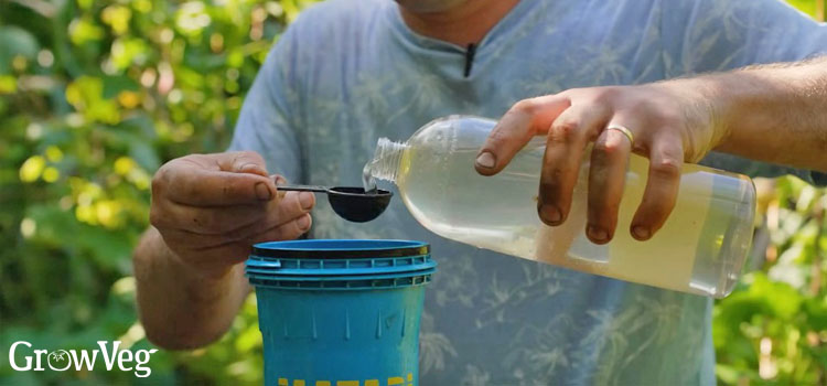 Making-organic-pesticide