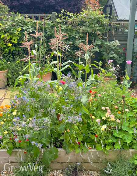 Mixed-planting