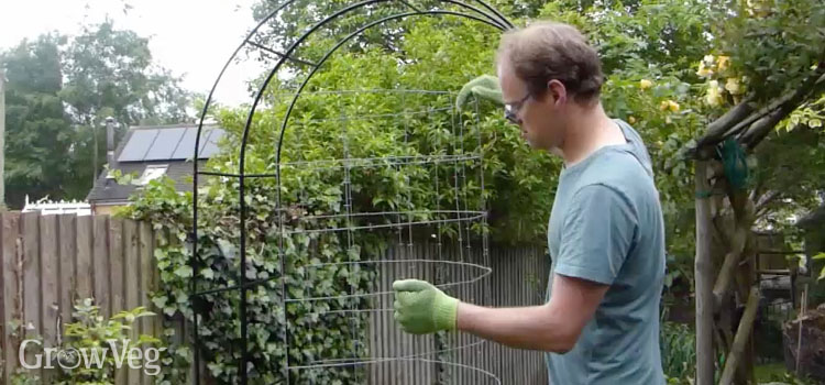 Beautiful Arch For Climbing Vegetables, How To Build A Metal Garden Arch