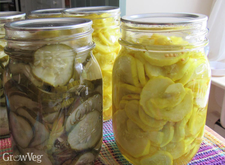 Cucumber pickles