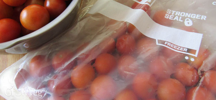 Best Ways to Preserve Tomatoes