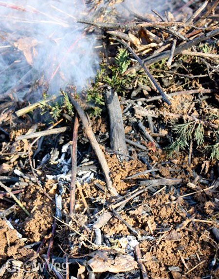 Burning woody debris to make biochar or agricultural charcoal