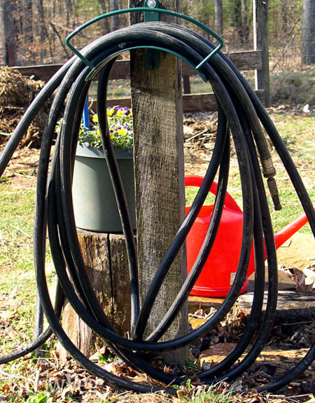 Black rubber hose warms up water for watering