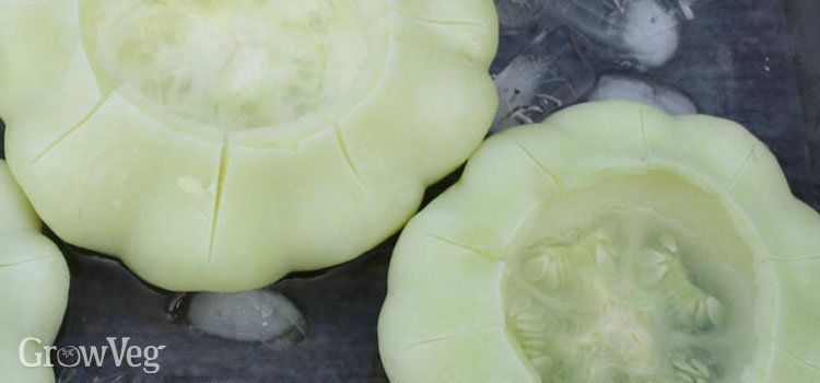 Freezing blanched squash