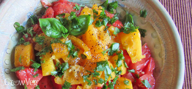 Tomato and basil salad