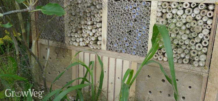 Encouraging beneficial insects into your vegetable garden by building a bug hotel