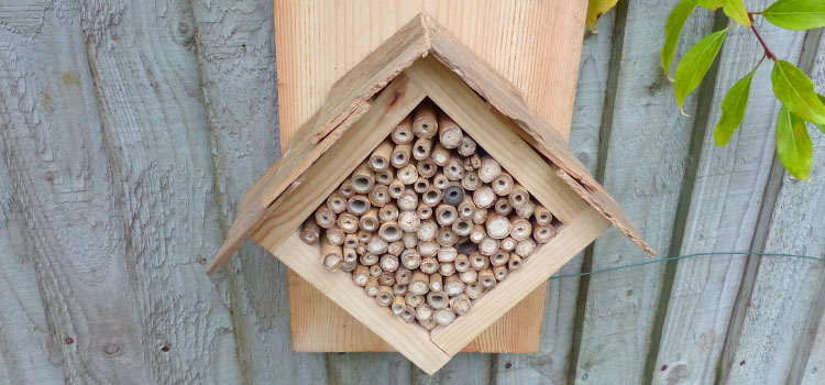 Bug hotel hanging on a fence