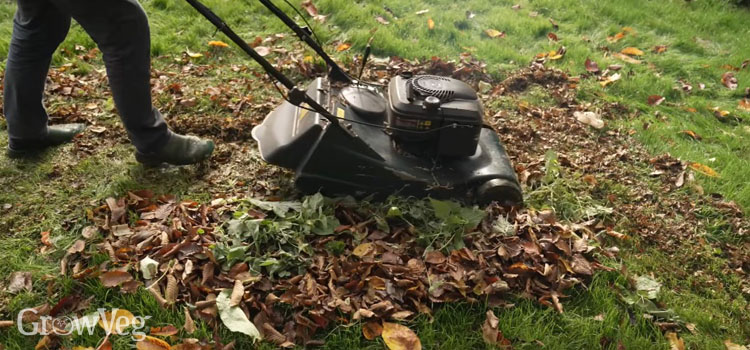 Mowing grass clippings and leaves