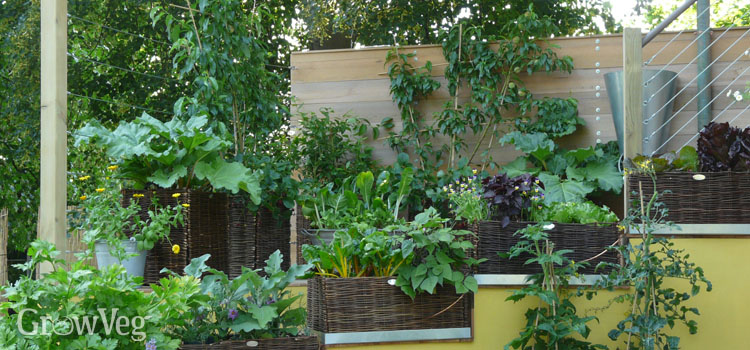 Small garden making good use of vertical space