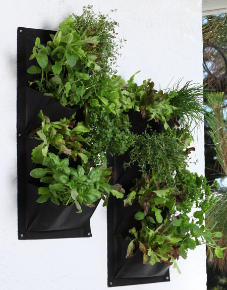 Vertical wall planters