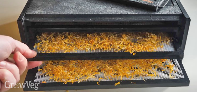 Drying calendula