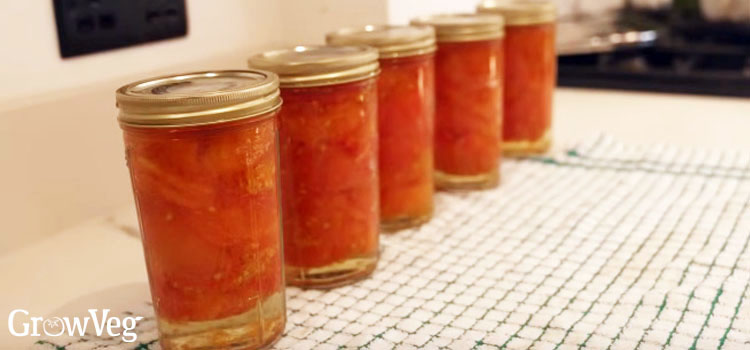 Jars of canned tomatoes