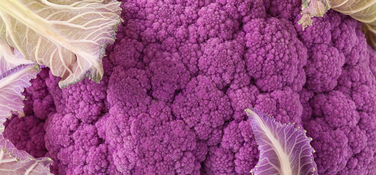 Purple cauliflower