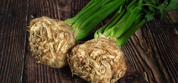 https://gardenplannerwebsites.azureedge.net/blog/celeriac-harvested-2x.jpg