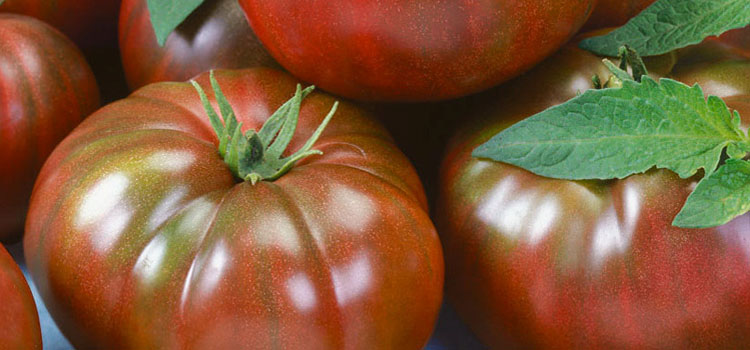 https://gardenplannerwebsites.azureedge.net/blog/chefs-choice-black-Totally-Tomato-2x.jpg