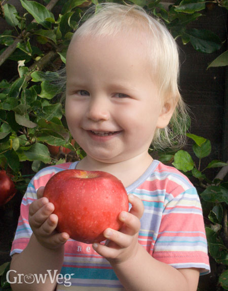 Child with apple