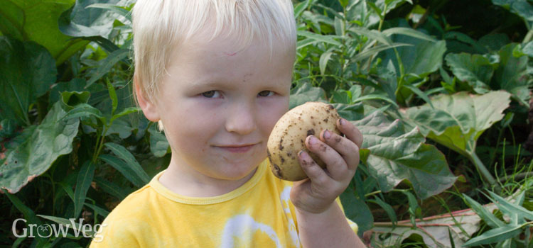Child with a potato