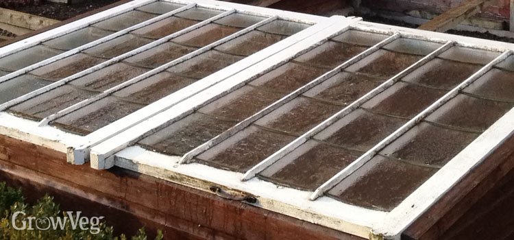Traditional cold frame made from a window