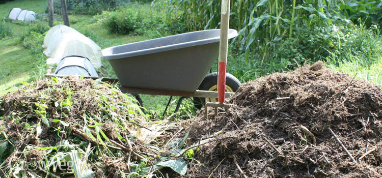 https://gardenplannerwebsites.azureedge.net/blog/compost-climate-change-composting-2x.jpg