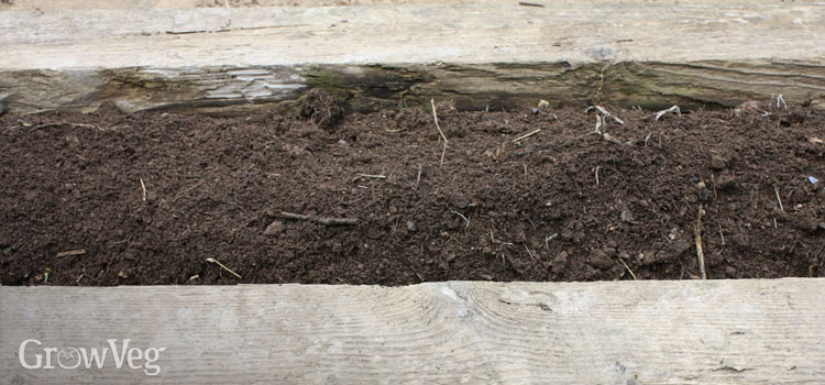 Fresh compost in raised bed
