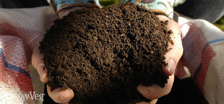 Compost for improving soil