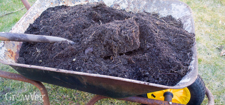 Adding compost can improve any type of garden soil.
