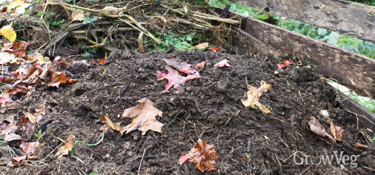 Compost heap in autumn