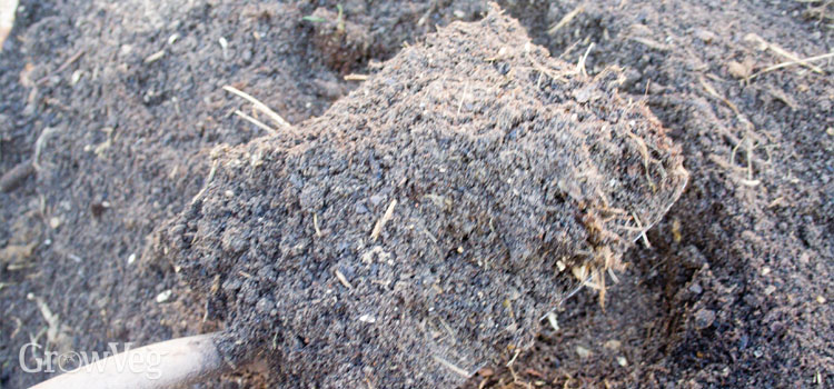 Good garden compost ready for spreading onto vegetable beds.