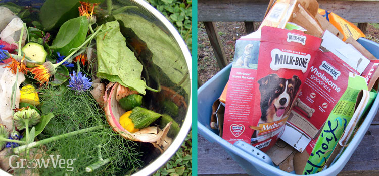 Composting tips for kitchen waste and cardboard