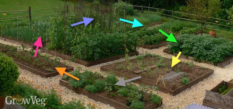 Crop rotation by family using colour groupings