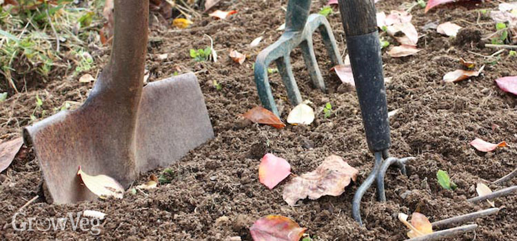 Tools for cultivating soil