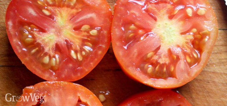 Tomatoes cut open to show the gelatinous seed sacs which inhibit germination