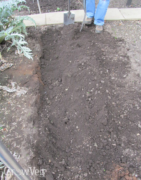 Digging a vegetable plot